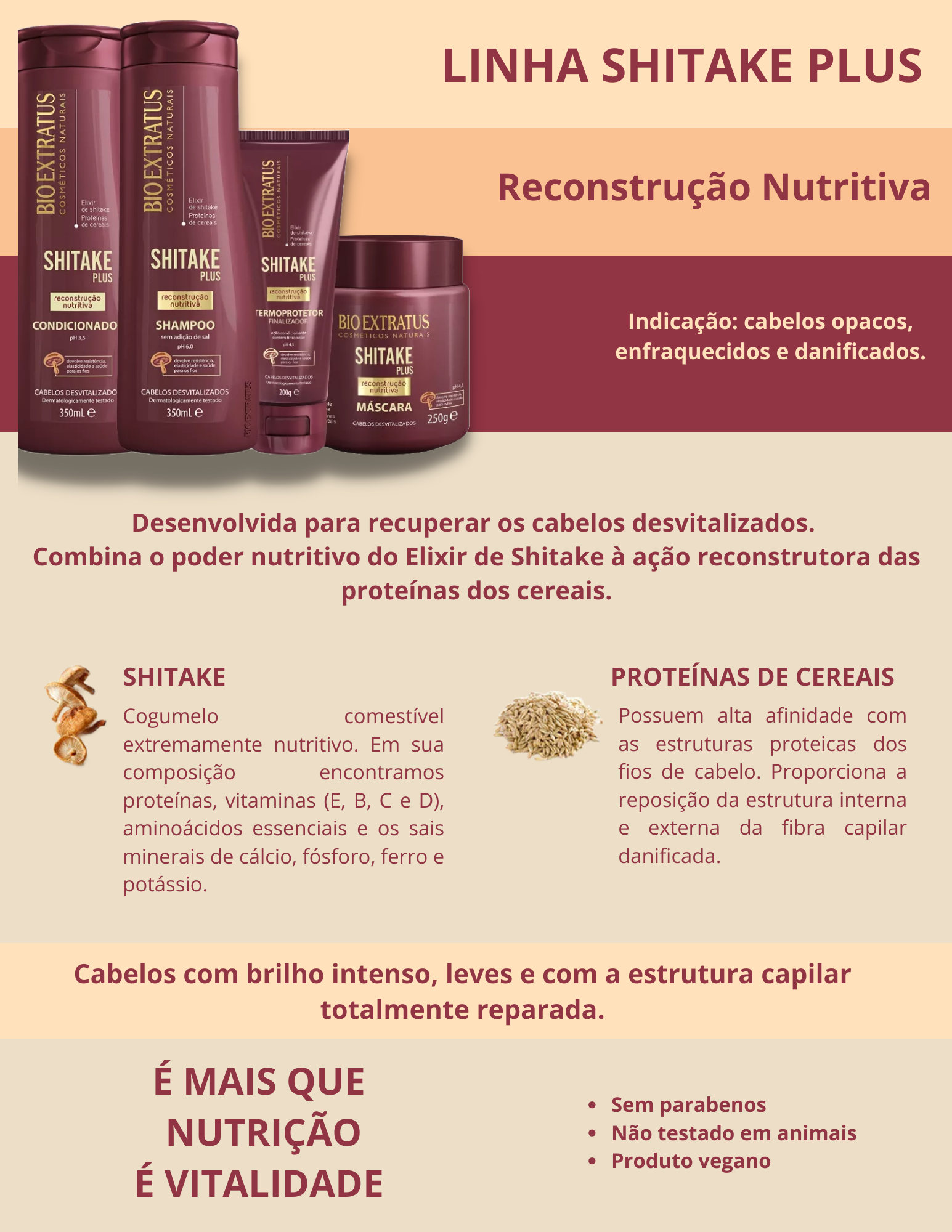 Produto  - Shampoo SHITAKE PLUS BIO EXTRATUS 350ml - Condicionador SHITAKE PLUS BIO EXTRATUS 350ml - Máscara SHITAKE PLUS BIO EXTRATUS 250g - Finalizador termoprotetor SHITAKE PLUS BIO EXTRATUS 200g